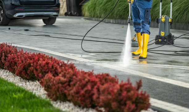 Best Animal Enclosure Cleaning  in Woodacre, CA